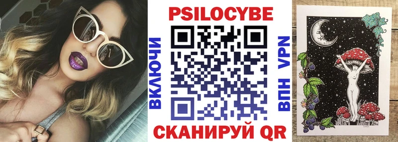 Купить где  Бакал  Галлюциногенные грибы Psilocybe 